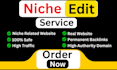 deliver high authority niche edit backlinks on tech blogs and websites