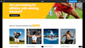 design a responsive wordpress website
