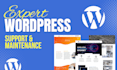 provide maintenance and support for your wordpress website