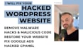 do wordpress malware removal and fix your hacked website within 24 hours