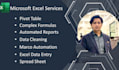 perform data entry, cleaning of data, and formatting in excel