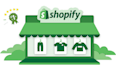 create shopify store for you