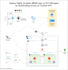 deploy highly scalable mern app on ec2