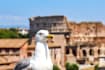 plan the italian trip of your life