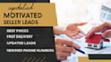 provide real estate motivated seller leads with skip tracing and wholesale leads
