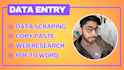 do excel data entry in low price, copy paste, web research