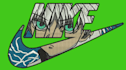 do custom fast embroidery digitizing services