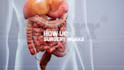 create best 3d medical animation and 3d modeling