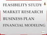 do feasibility study, business plan, financial modeling
