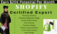 build branded profitable shopify dropshipping store or shopify website