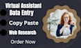 do data entry for professional