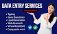 do perfect online, offline data entry, google sheet, web research