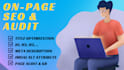 do website on page SEO optimization and technical audit