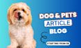 write engaging pet blogs and dog articles