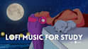 do amazing animated video for your lofi project
