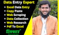do excel data entry, web scraping, data entry and web research