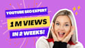 optimize best youtube video SEO for high ranking