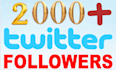 do organic twitter marketing to growing followers fast