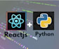 provide expert looking reactjs website development