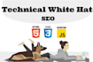 improve website speed, accessibility, and SEO rankings