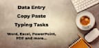 do any type of typing work copy paste data entry ms word