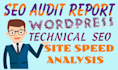 do wordpress technical  SEO audit report with action plan