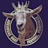 design a professional modern goat  logo