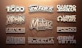 create a professional dj logo design for you