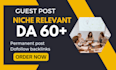 provide niche relevant guest post strategy