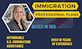 write an immigration professional plan