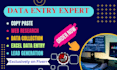do completely data entry, copy paste, web research and web scraping work