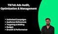 setup, audit, and manage tiktok ads campaign