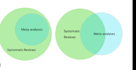 conduct comprehensive prisma guided systematic reviews and meta analysis
