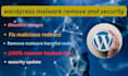 deep clean harmful malware from hacked wordpress website