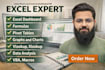 create excel graph,vlookup,pivot tables,dashboard and macros