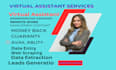 do real estate virtual assistant in USA