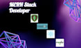 do website development using mern stack