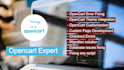 fix opencart issue and customize opencart ecommerce site