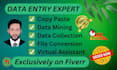 do proper data entry copy past and web research  expert