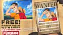 draw custom one piece character illustrations