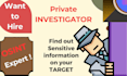 do private detective, osint investigation and background check on your target