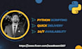 be an expert python programmer for your projects and tasks