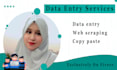 do any data entry and web research job