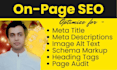 do on page SEO, schema markup, image alt text,h1, page audit