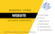 make wordpress  website tweaks, fix errors, remove malware and seo audit