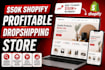build profitable shopify dropshipping store