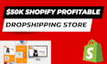 build profitable shopify dropshipping store