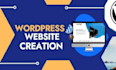 develop professional business website