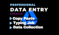 do data entry excel data entry web research copy paste