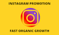 guarantee fast and organic instagram promotion